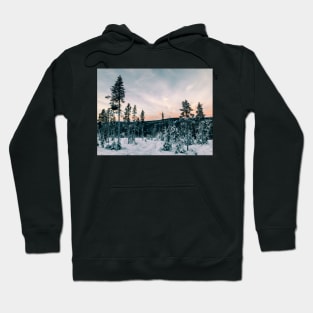 Fir Tree Forest in Warm Evening Light on Cold Winter Day (Norway Hoodie